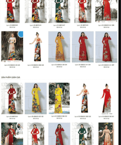 Thiết kế Web Sơn Trà, Đà Nẵng giá Rẻ chuyên nghiệp chỉ từ 2Tr990